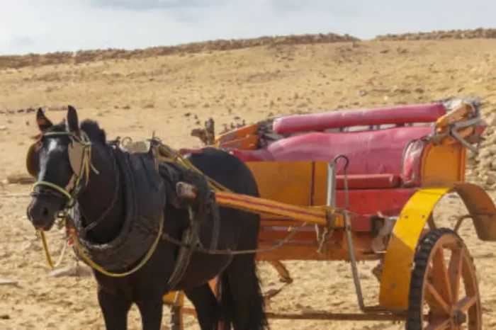 Luxor Horse Carriage trip – Luxor Short Break