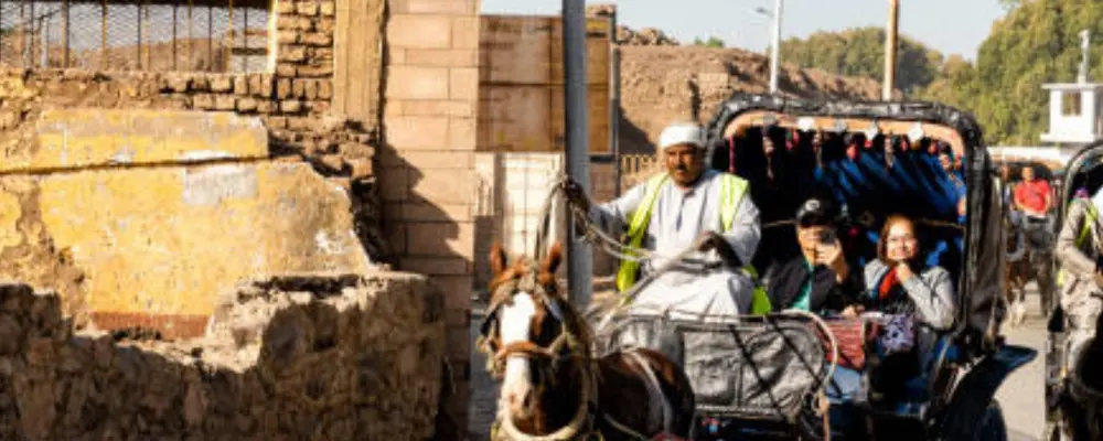 Horse-Carriage-Trip-Egypta-Tours