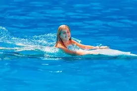 Swim With Dolphin in El Gouna 2023