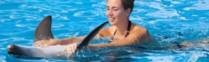 El Gouna swim with dolphins