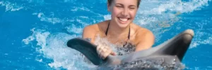 El-Gouna-swim -with-dolphins-Adventure
