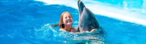 Swim With Dolphin in El Gouna