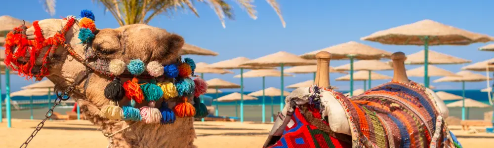 6-Days-Cairo-and-Hurghada-Tour-Package