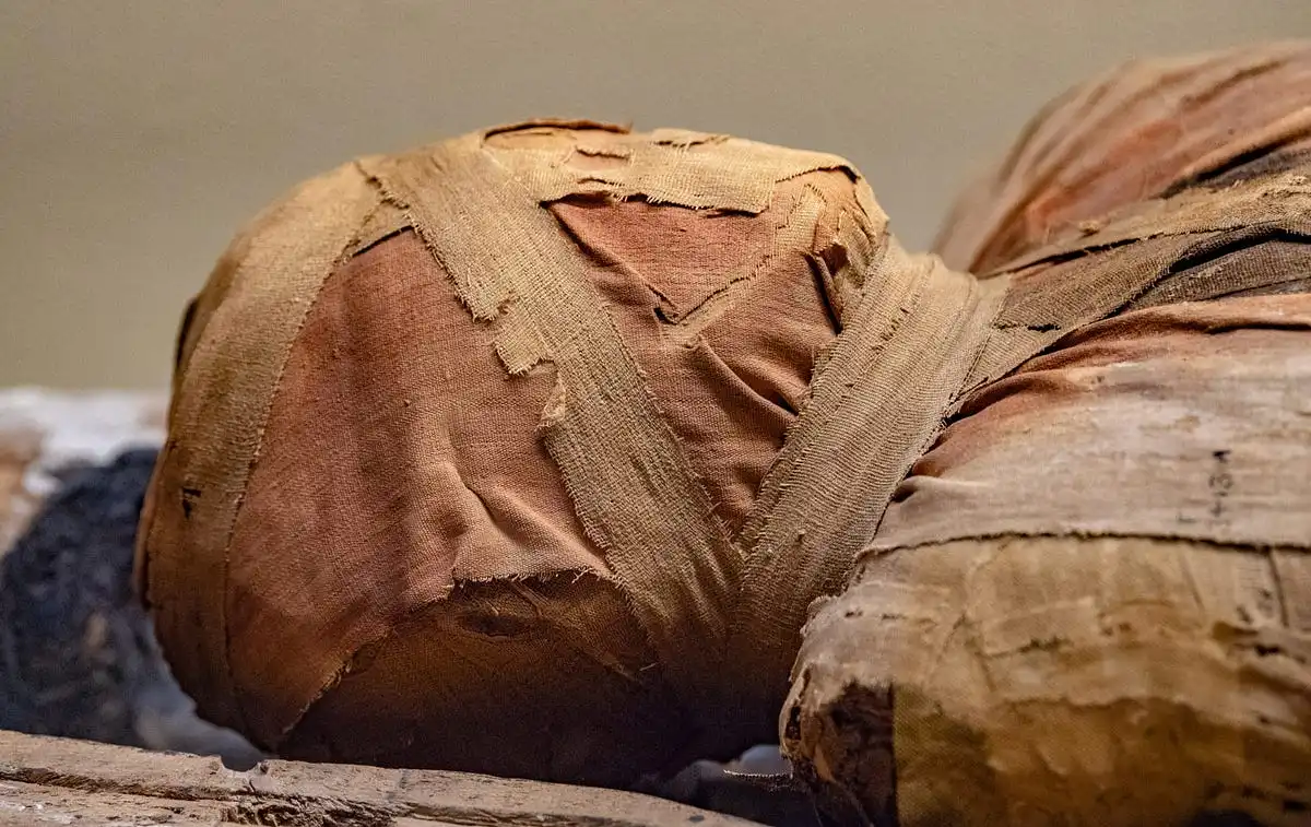 Mummification-of-the-Pharaohs-Mummies