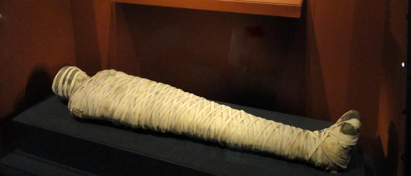 Mummification-of-the-Pharaohs-Process-Mummy