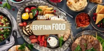 Discover The Most Popular Egyptian Food You Need to Try