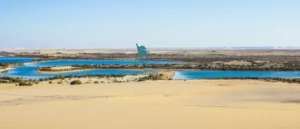 Night-Camping-in-Wadi-El-Hitan-2024-2025-EgyptaTours