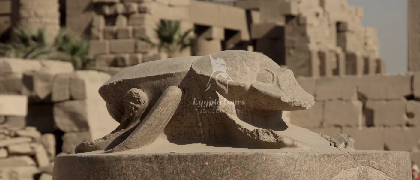 Types-of-Scarabs