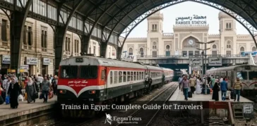 Trains in Egypt: Complete Guide for Travelers