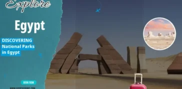 Best 21 National Parks in Egypt