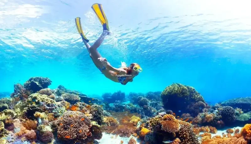 The-Best-Hurghada-Diving-Sites-A-Diver’s-Paradise-Awaits-EgyptaTours