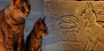 Animals Gods in ancient Egypt: Unveiling the Fascinating Power