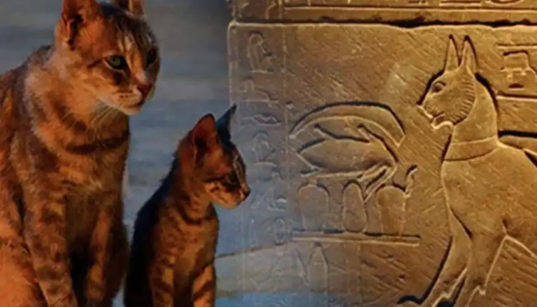 Animals-Gods-in-ancient-Egypt-Unveiling-the-Fascinating-Power-EgyptaTours