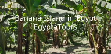 Banana Island in Egypt: A Hidden Paradise of Tranquility and Adventure