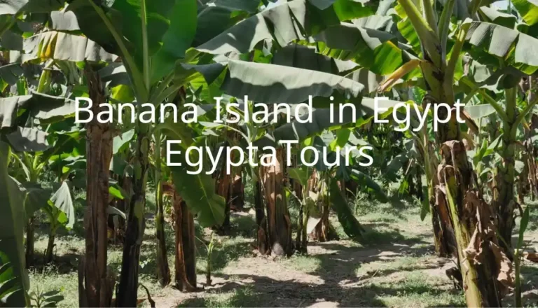 Banana-Island-in-Egypt-Hidden-Paradise-of-Tranquility-and-Adventure-EgyptaTours