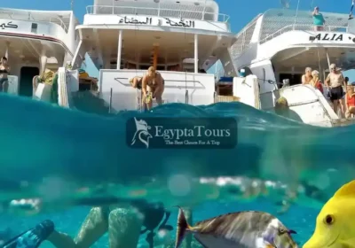 Giftun-Island-Your-Ultimate-Guide-to-Egypt’s-Red-Sea-Paradise-EgyptaTours-Featured-Image