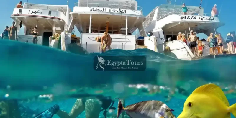 Giftun-Island-Your-Ultimate-Guide-to-Egypt’s-Red-Sea-Paradise-EgyptaTours-Featured-Image