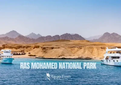 Ras-Mohamed-National Park-A-Complete-Guide-to-Egypt’s-Natural-Paradise-EgyptaTours-Featured-Image