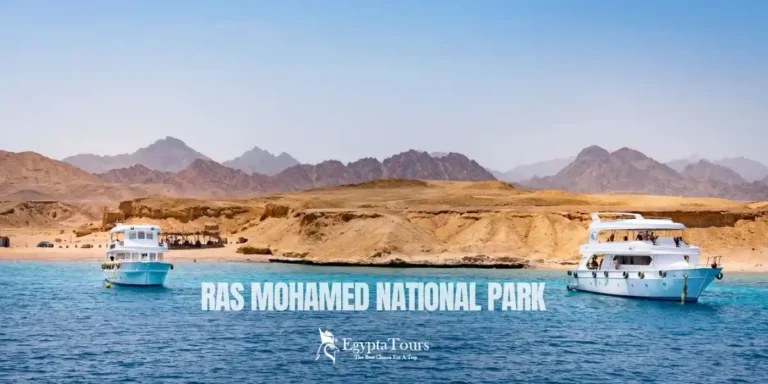 Ras-Mohamed-National Park-A-Complete-Guide-to-Egypt’s-Natural-Paradise-EgyptaTours-Featured-Image