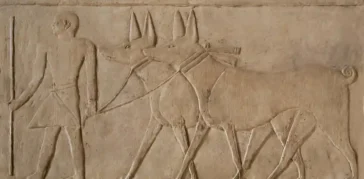 Dogs in Ancient Egypt