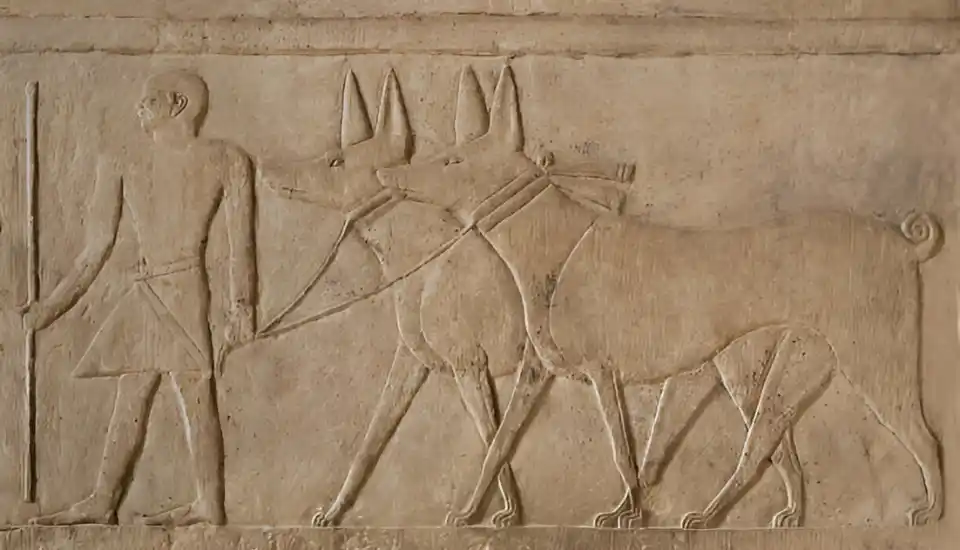 Dogs in Ancient Egypt