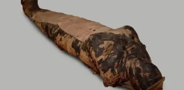 The Mummy of the Mysterious Lady