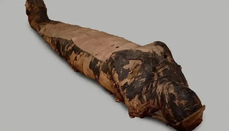 The-Mummy-of-the-Mysterious-Lady-EgyptaTours-Featured