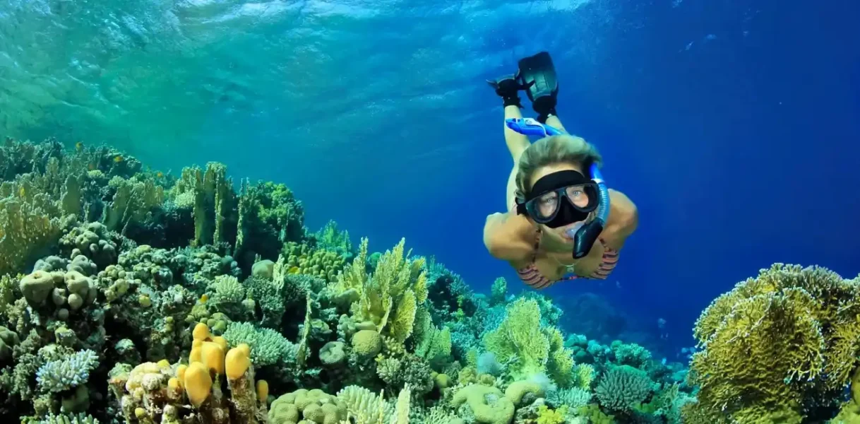 Diving Excursion From Marsa Alam 2026/2027: Captivating Activity