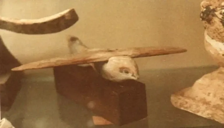 Saqqara-bird-EgyptaTours-Featured