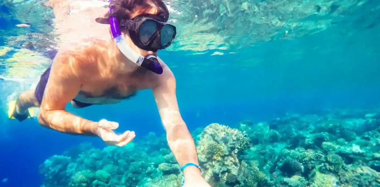 Snorkeling Trip From El-Gouna: Amazing Sea Activity