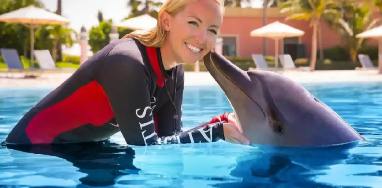 Swim With Dolphin in El Gouna: Best Activity Ever !