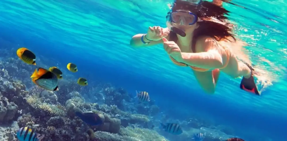 Snorkeling Trip from Safaga Port: Best 10 Hours Activity