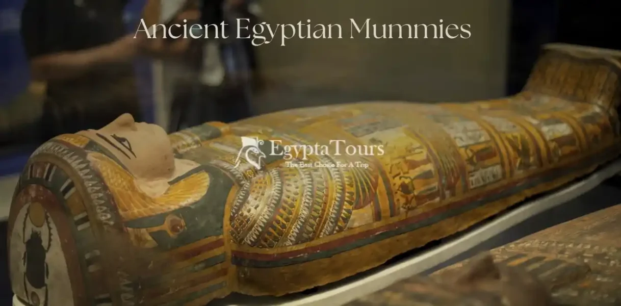 Ancient Egyptian Mummies