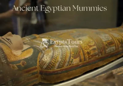 Ancient-Egyptian-Mummies-EgyptaTours-Featured-Image