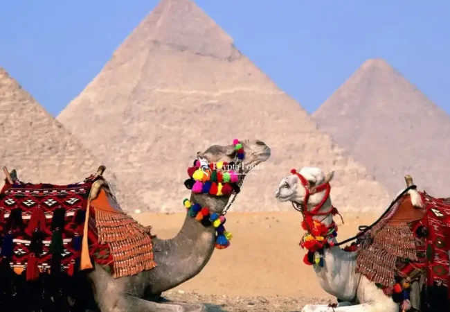 3 -Days -Cairo- Tour -Package- from -Dubai-Giza-EgyptaTours