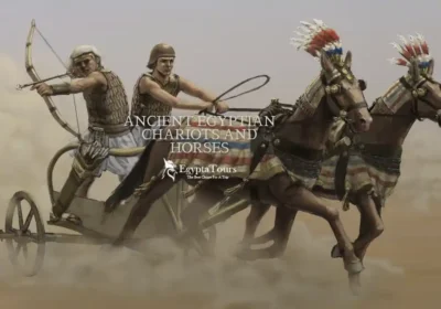 Ancient-Egyptian-Chariots-and-Horses-EgyptaTours-Featured-Image
