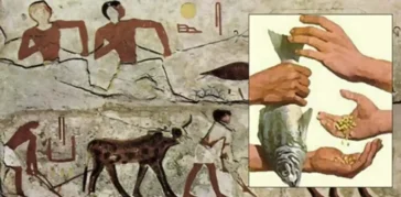 Ancient Egyptian Economy