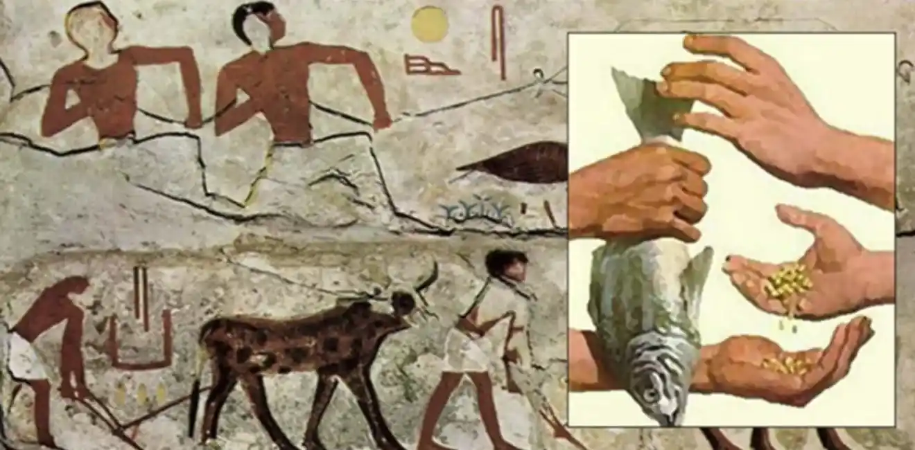 Ancient Egyptian Economy 6 Ancient-Egyptian-Economy-Featured-Image