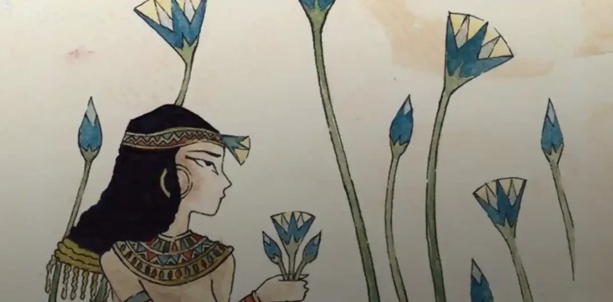 Egypt Lotus Flower