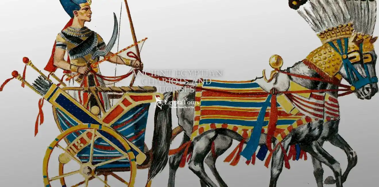 Ancient Egyptian Chariots and Horses 7 The-First-People-to-Use-Ancient-Egyptian-Chariots-and-Horses-EgyptaTours