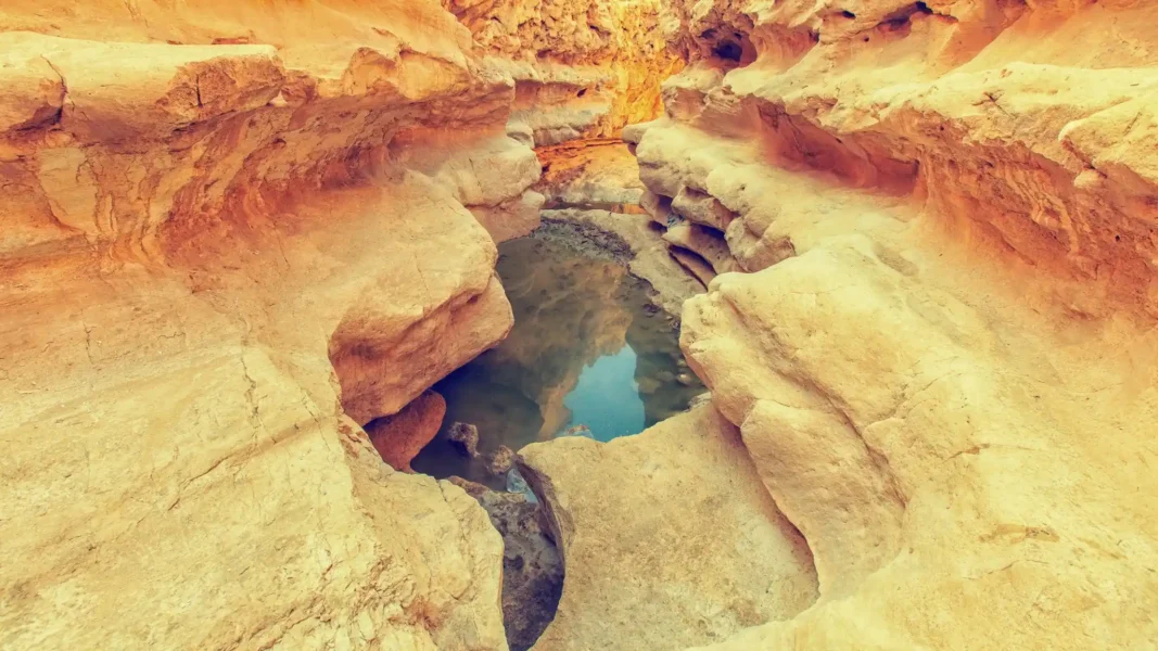 Family-Activities-In-Egypt-For-Kids-Wadi-Digla-Nature-Hike