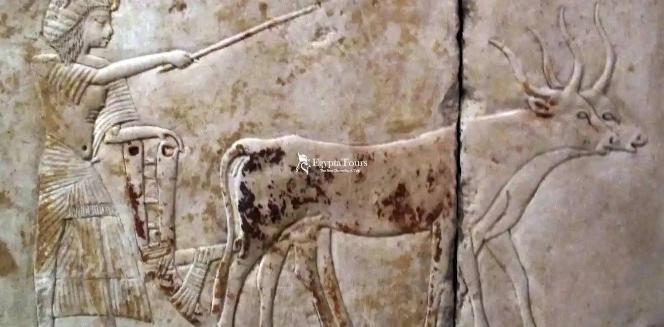 King Horemheb 7 King -Horemheb -The -Last- Pharaoh -of- the -Eighteenth- Dynasty