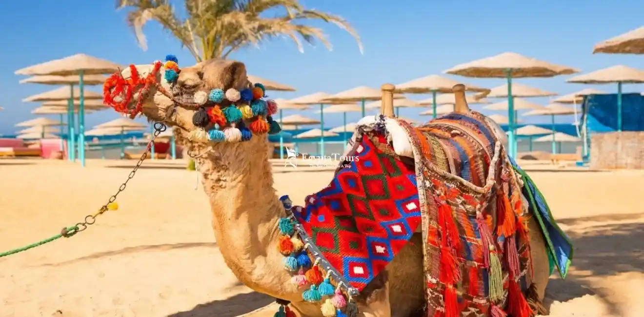 Weather -In -Egypt -In -Spring- April- May-Sharm- El- Sheikh- in- April