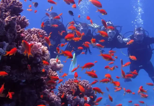 Diving -Excursion- in- Port -Ghalib-EgyptaTours-Featured