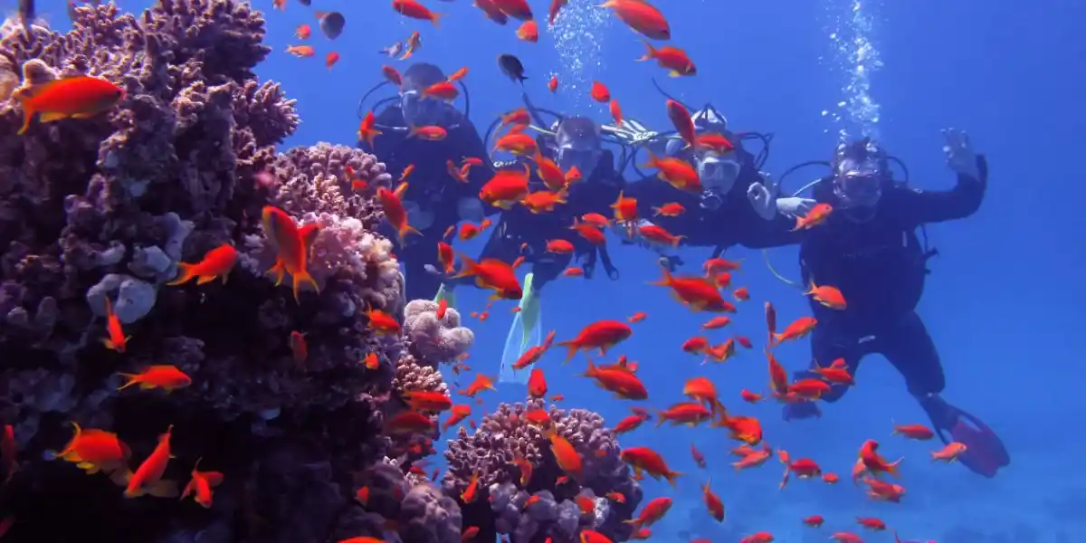 Best Diving Excursion in Port Ghalib Egypt