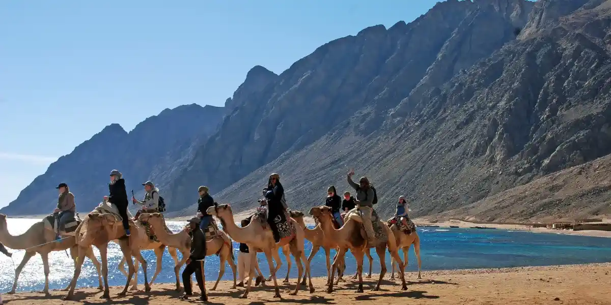 Egypt Family Holidays Packages