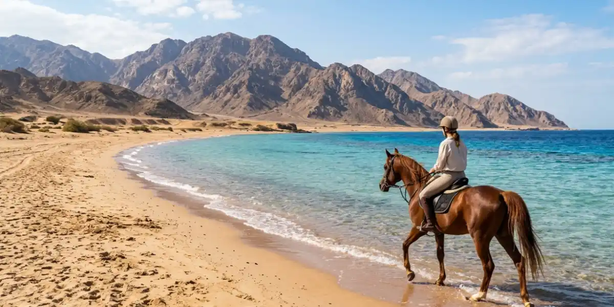 Sharm El Sheikh Day Tours and Trips