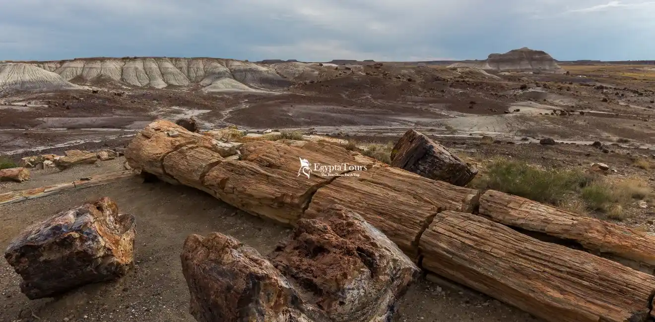 13-Days-Egypt-Tour-to-Garden-of- Eden-Petrified-Forest-Protectorate -in-Cairo-EgyptaTours