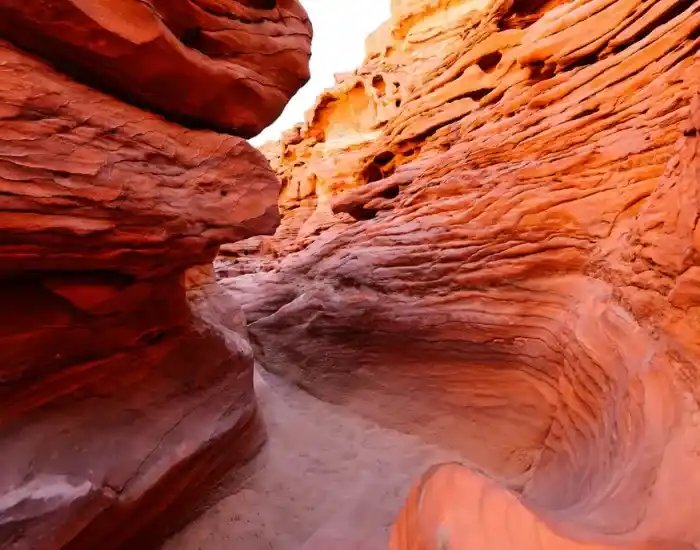 Rocky-Desert-Landscape-At-Sunset-In-Sinai-Peninsula-EgyptaTours